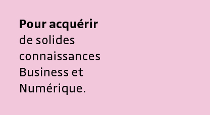 •	Pour acquérir de solides connaissances Business et Numérique.