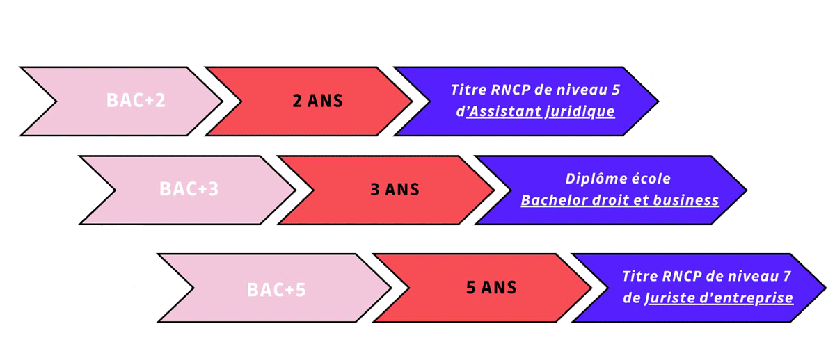 Parcours étude Elije Parcours étude Elije